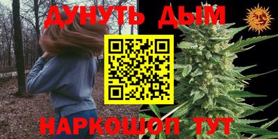 a pvp Тула